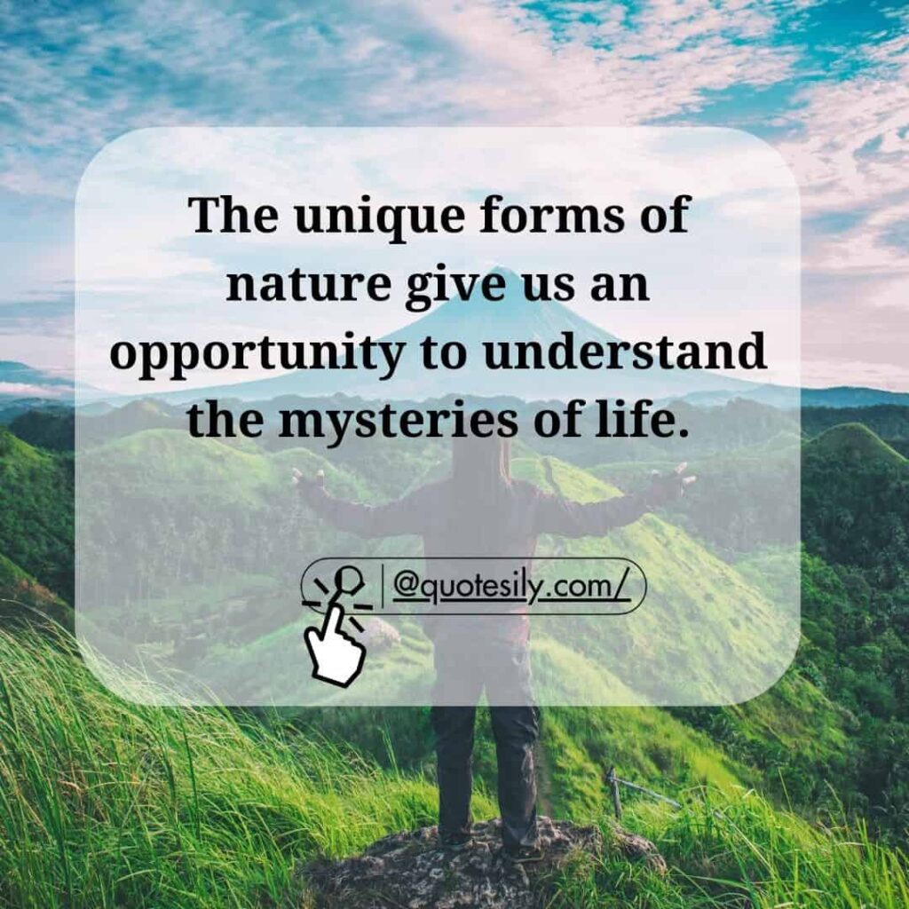 200 Powerful Nature Quotes To Awaken Your Soul