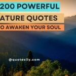 200 Powerful Nature Quotes To Awaken Your Soul